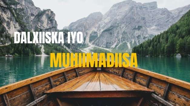 Dalxiiska iyo muhiimadiisa