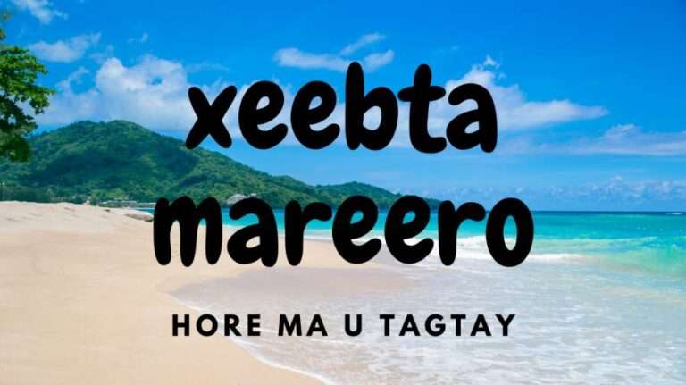 XEEBTA MAREERO