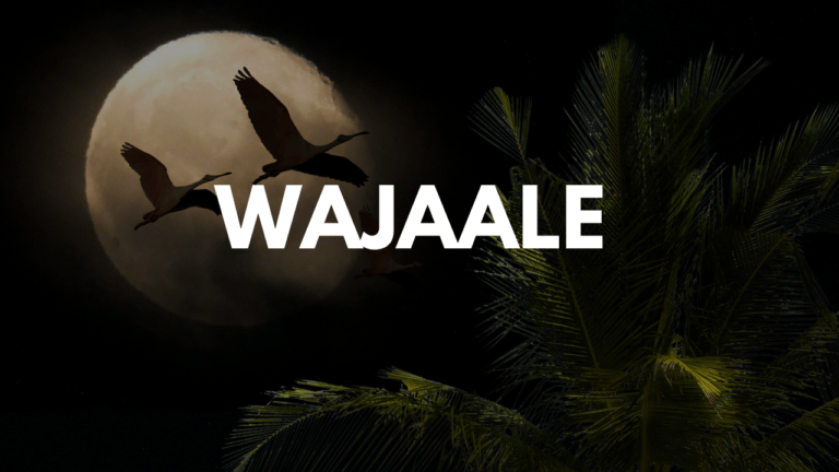 WAJAALE